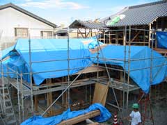 平屋棟屋根9月10日